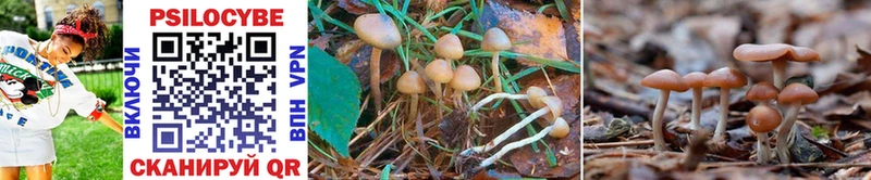 Псилоцибиновые грибы MAGIC MUSHROOMS Павловск