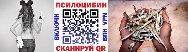 Галлюциногенные грибы Cubensis закладка Павловск